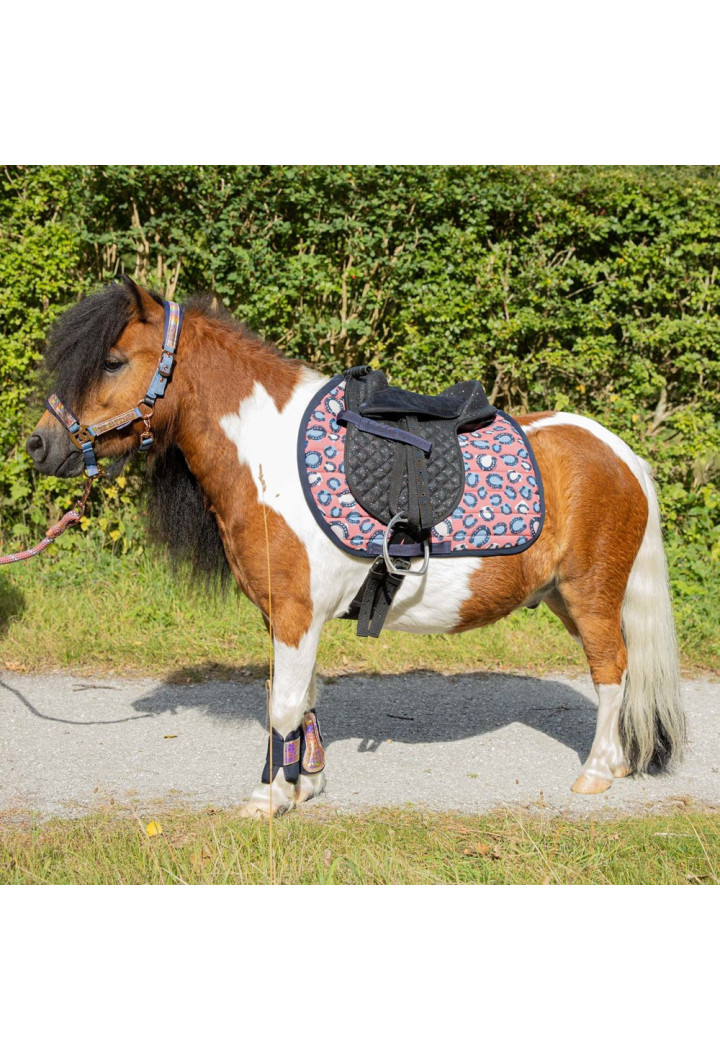 Czaprak dla kuca Harry's Horse Diva Mauvewood 26SS