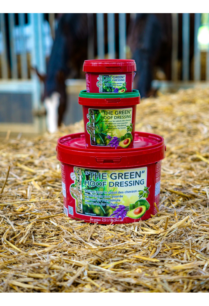 KEVIN BACON'S The Green 500ml