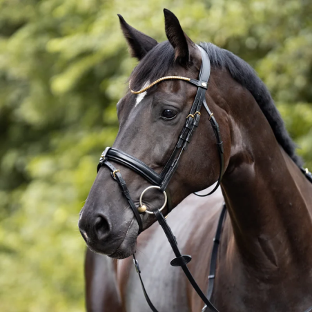 Bridle KAVALKADE Clinchesse