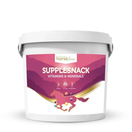 Dummy HORSE LINE SuppleSnack Vitamins 4kg