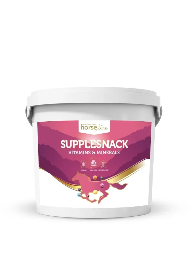 Dummy HORSE LINE SuppleSnack Vitamins 4kg
