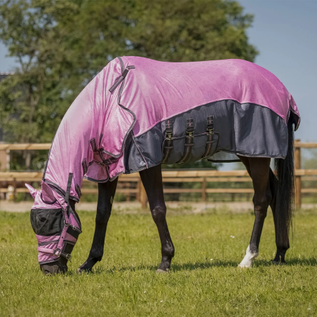 Deka pro koně síťovina QHP Neck & Hood