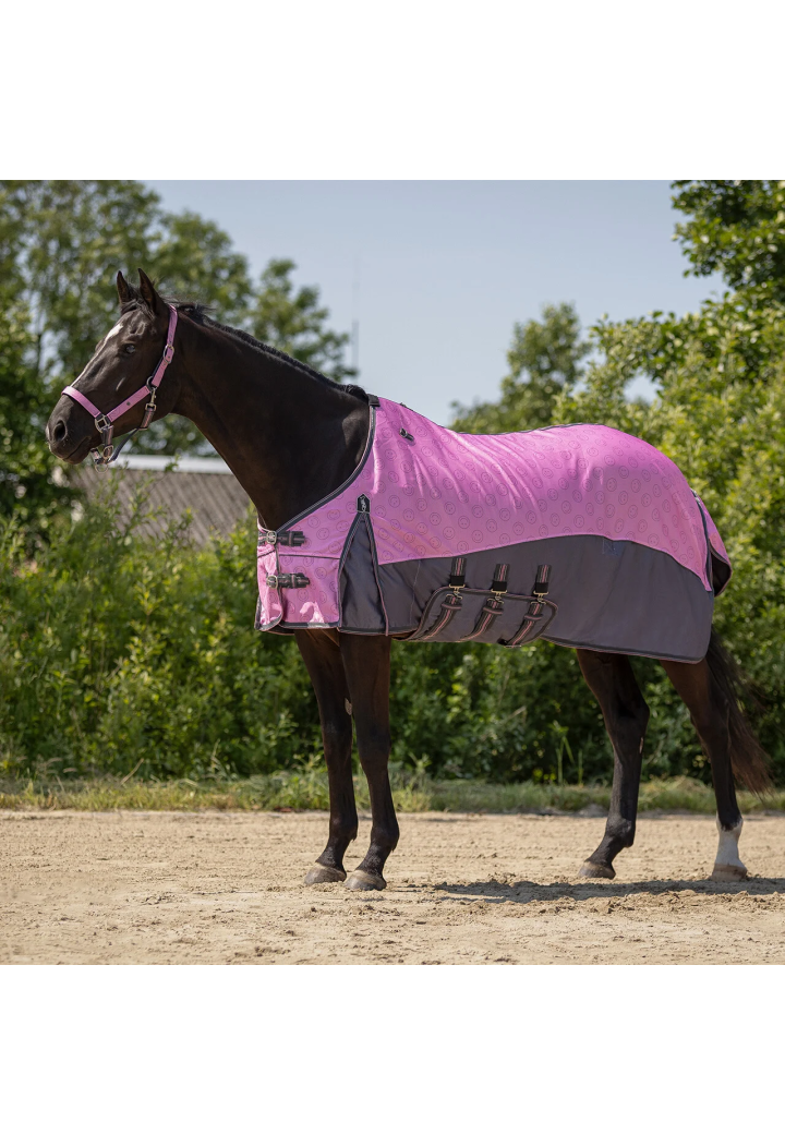 Horse rug mesh QHP Neck&Hood