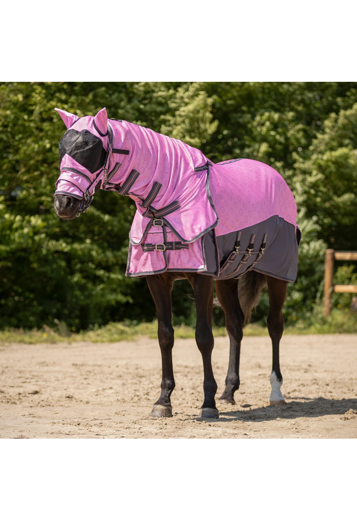 Deka pro koně síťovina QHP Neck & Hood