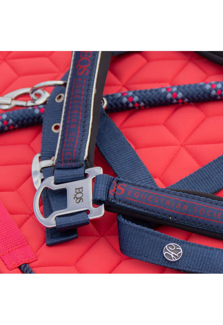 Headcollar lead rope Harry's Horse Eq.Society 26SS
