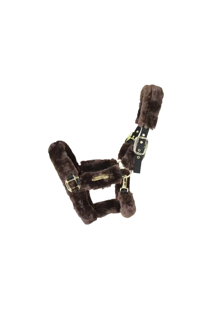 Ohlávka KENTUCKY Sheepskin