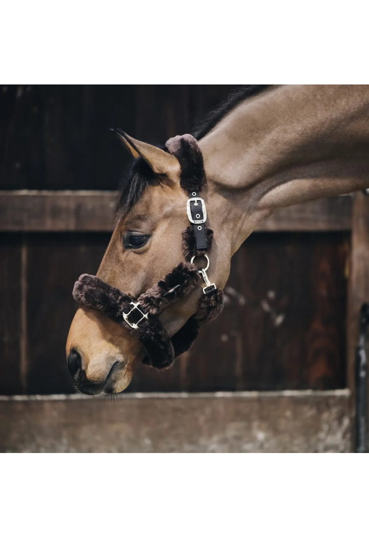 Headcollar KENTUCKY Sheepskin