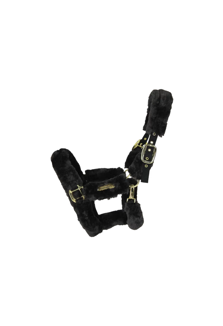 Headcollar KENTUCKY Sheepskin