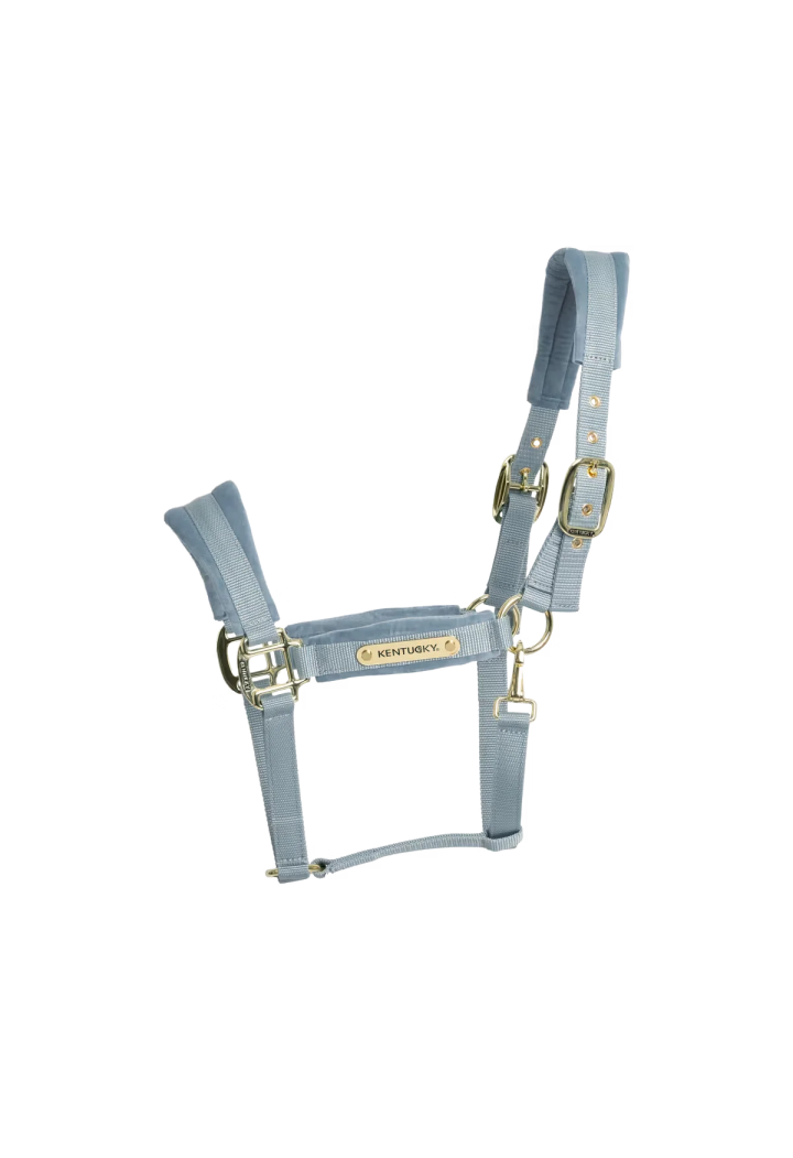Headcollar KENTUCKY Velvet
