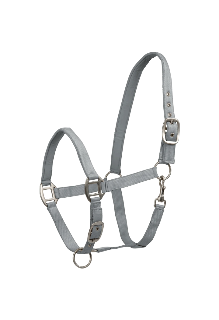Raso Cavezza WALDHAUSEN