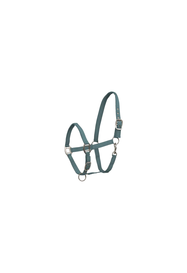 Headcollar WALDHAUSEN Satin