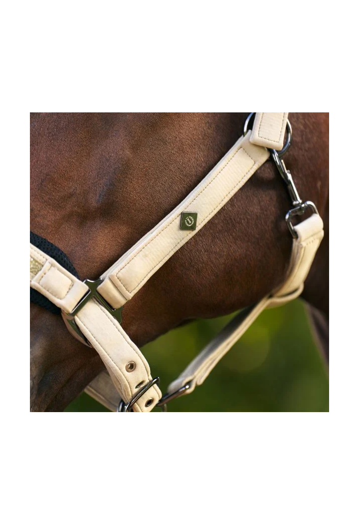 Cavezza con sottotitolo Imperial Riding IRHJewel Mesh