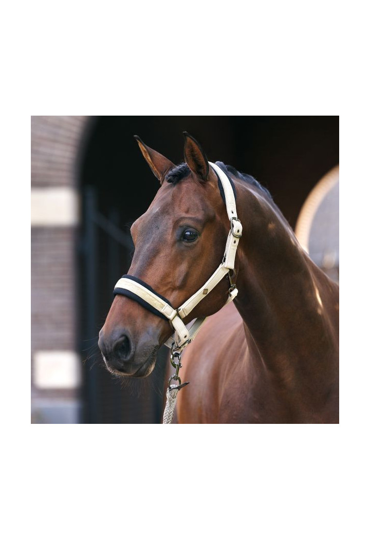 Halfter mit Imperial Riding IRHJewel Mesh Untertitelung