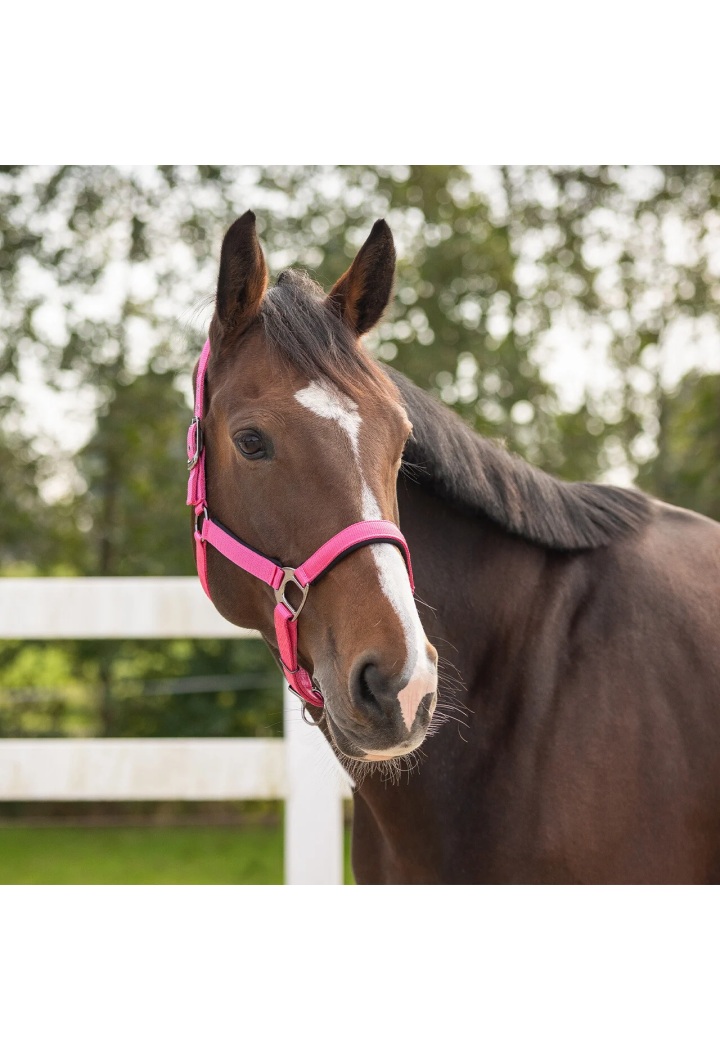 Headcollar QHP Deluxe