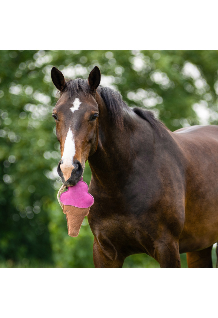 Hračka pro koně QHP Ice Cream