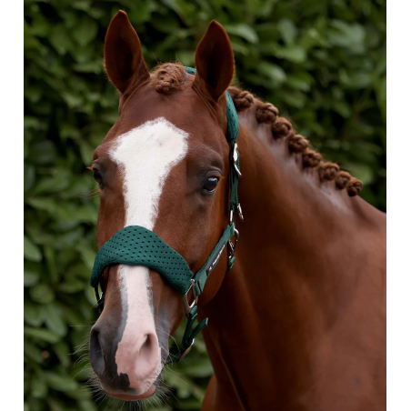 Halfter mit Führstrick PREMIER EQUINE Necto 3D Mesh