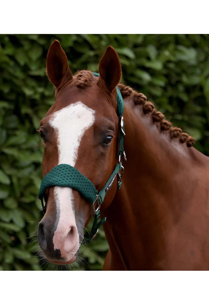 Ohlávka se vodítko PREMIER EQUINE Necto 3D Mesh