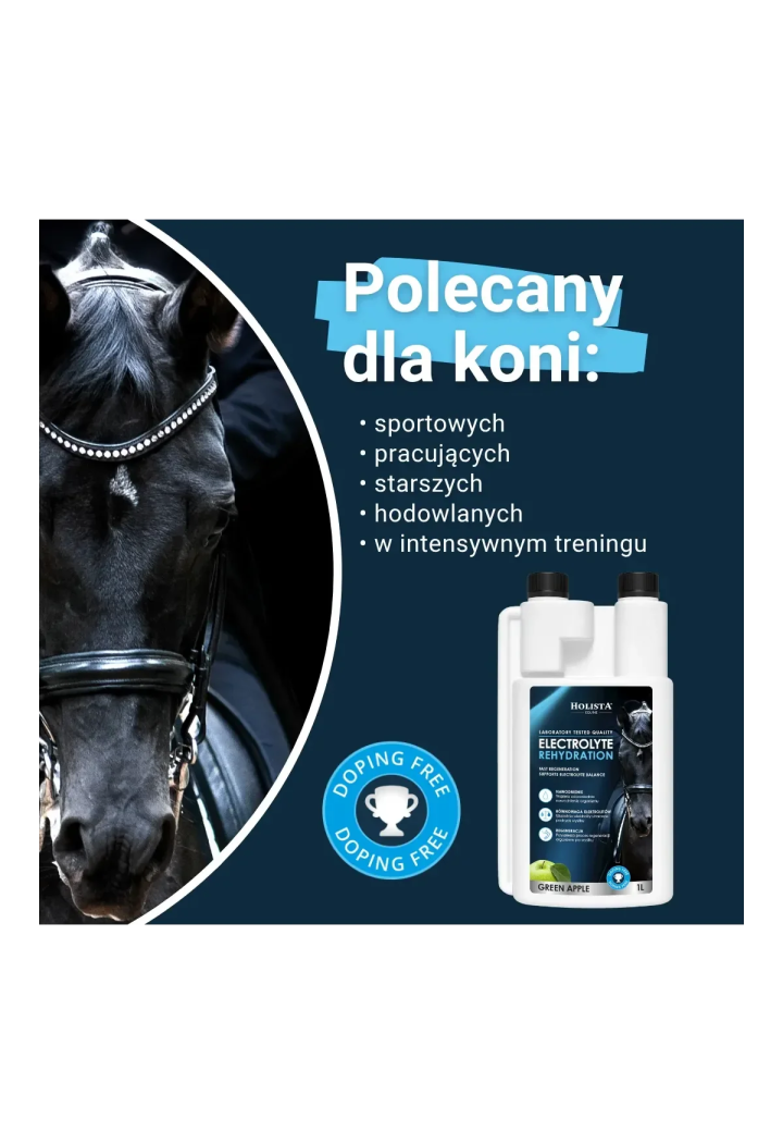 Electroliţii HOLISTA Electrolytes Rehydration 1l