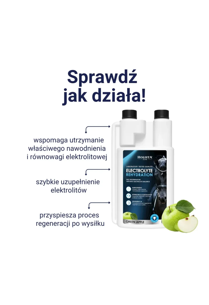 Elektrolyty HOLISTA Electrolytes Rehydration 1l