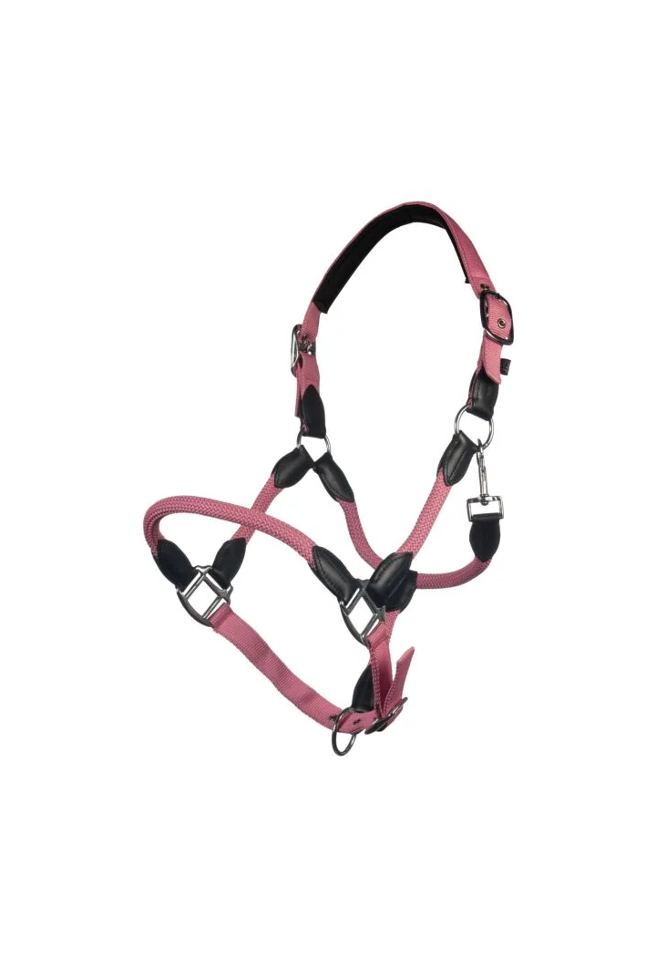 Cavezza HKM Carlotta