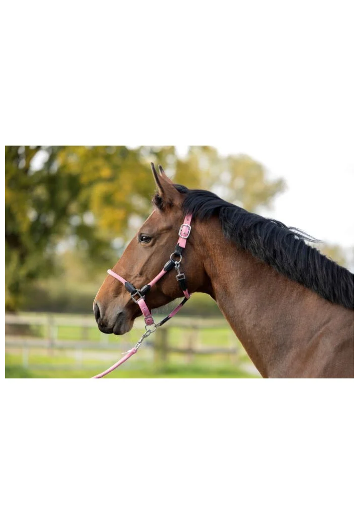 Halfter HKM Carlotta