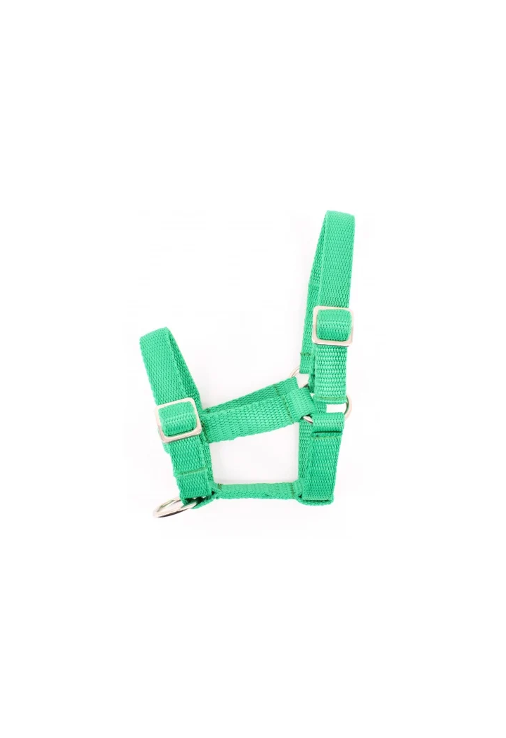 Headcollar foal MUSTANG