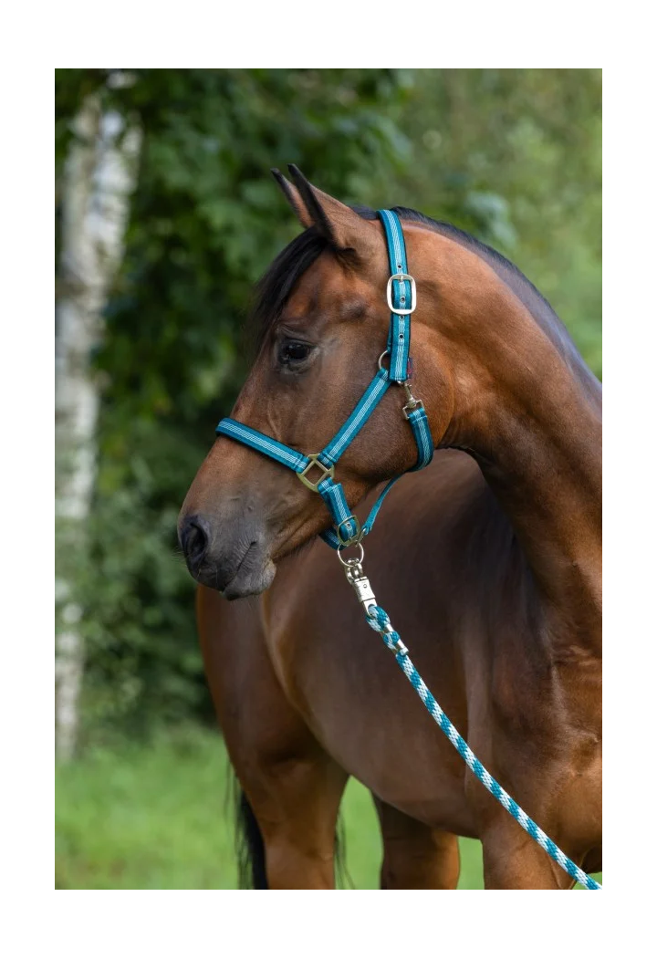 Headcollar COVALLIERO Mustang