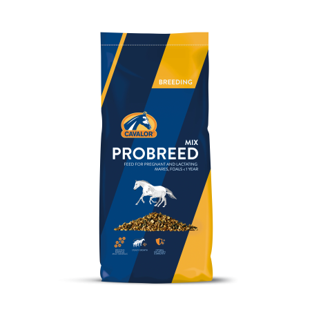 Hrană pentru iepele de reproducție CAVALOR Probreed Mix 20kg musli