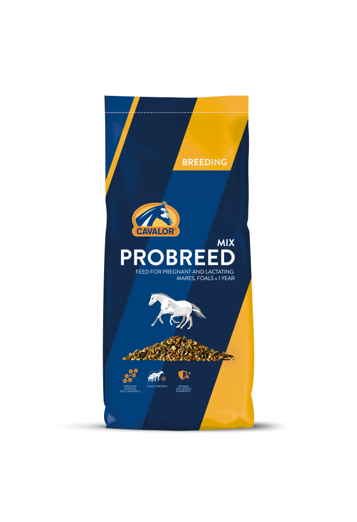 Krmivo pro chovné klisny CAVALOR Probreed Mix 20kg musli