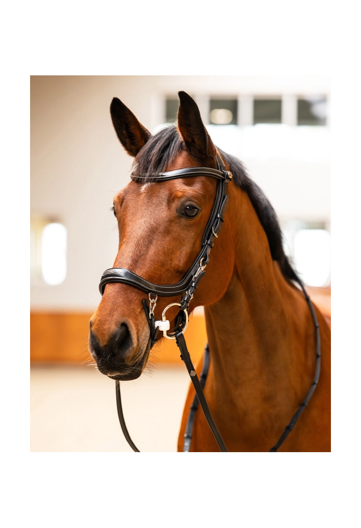 Frâu PresTEQ FaySport Classic