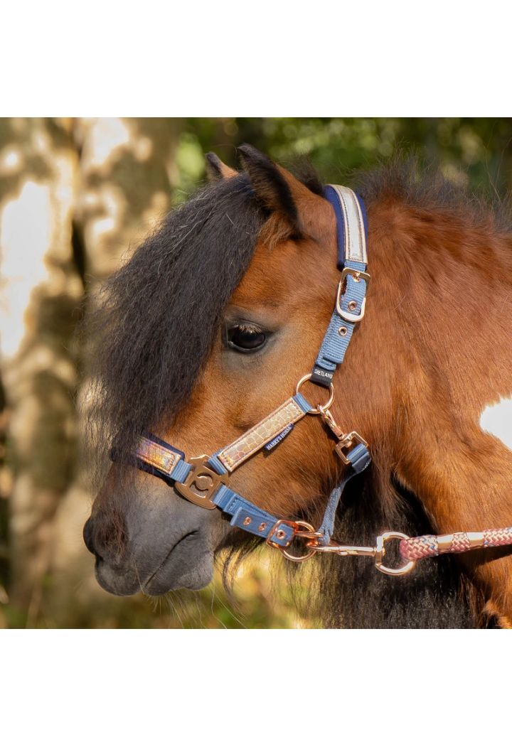 Headcollar lead rope Harry's Horse Diva Mauvewood 26SS