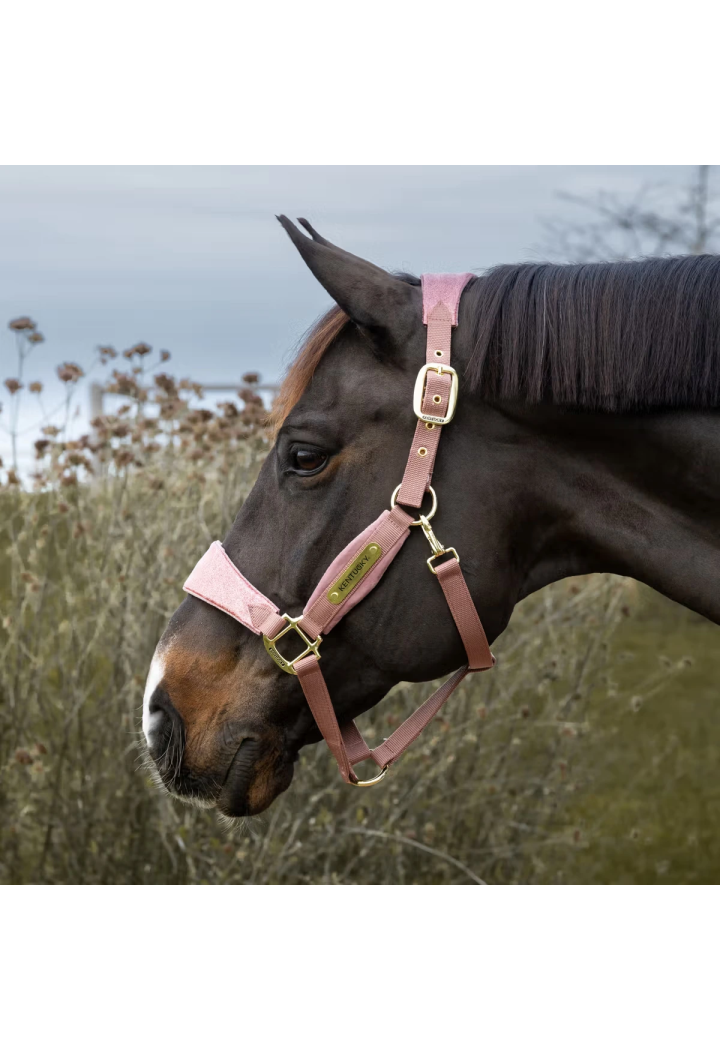 Headcollar KENTUCKY Velvet Unicorn Glitter