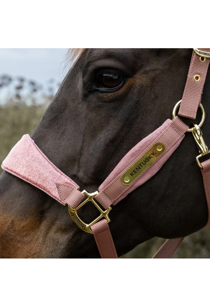 Headcollar KENTUCKY Velvet Unicorn Glitter