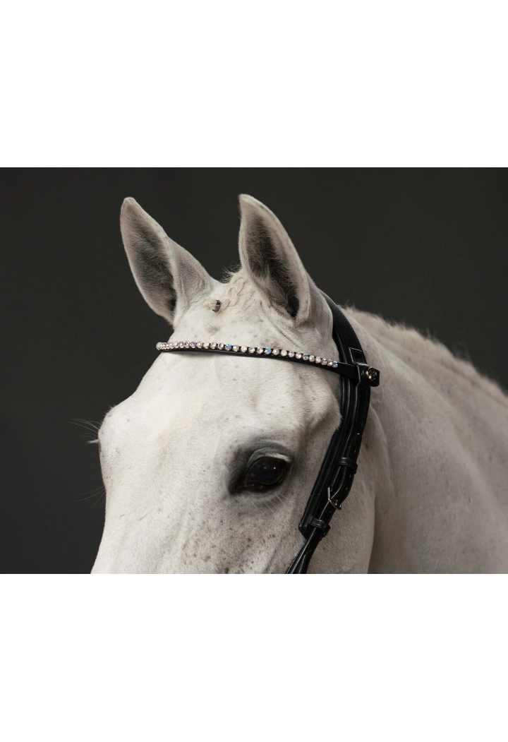 Frontalino PresTEQ ShineBright