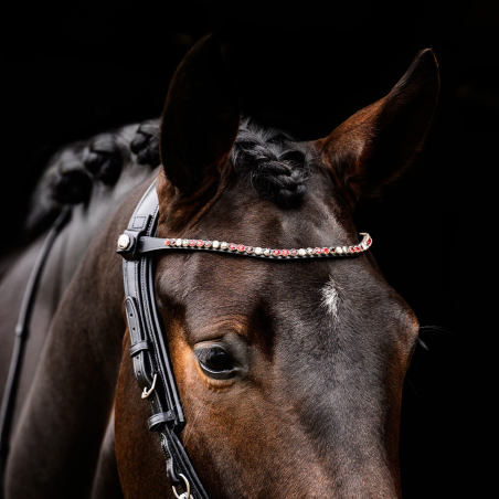 Frontalino PresTEQ ShineBright
