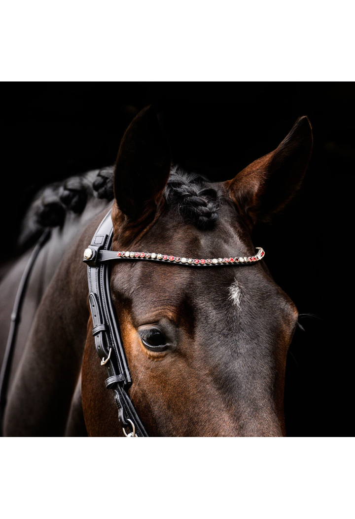 Frontalino PresTEQ ShineBright