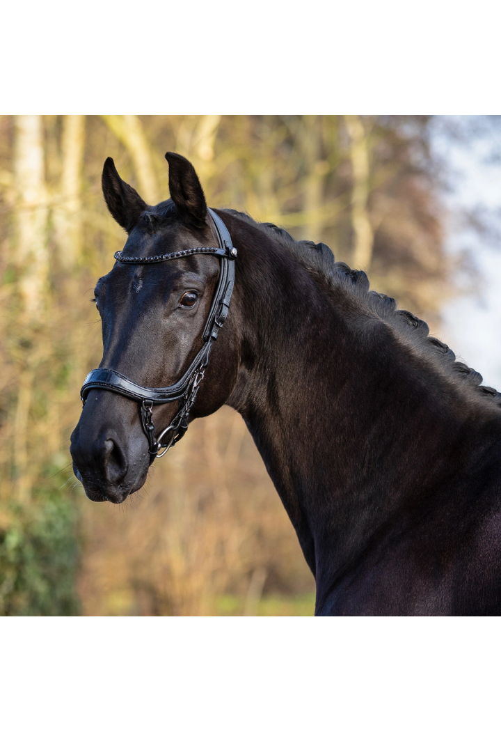 Trense PresTEQ FaySport BlackPearl