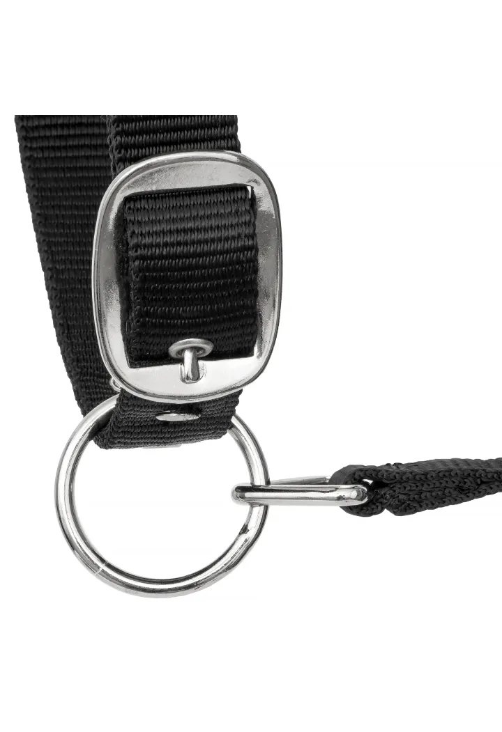 Căpăstru START Neoprene Glitter 2tone