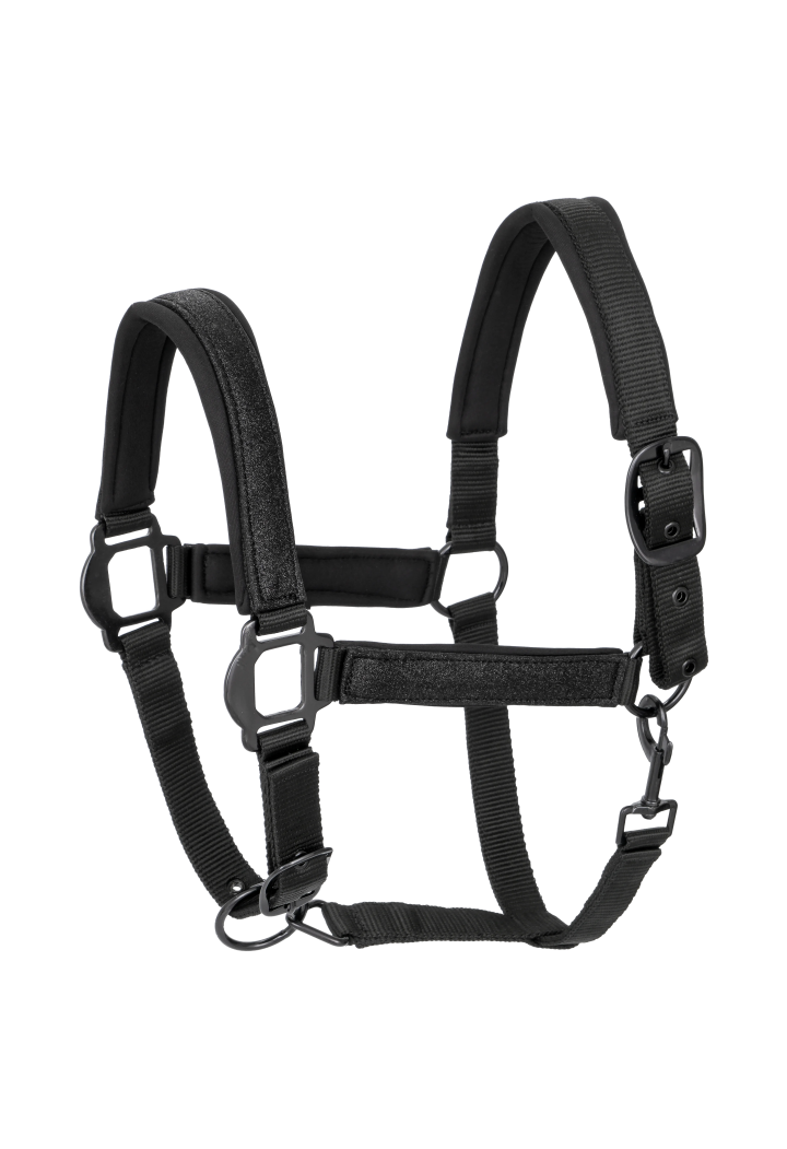 Headcollar START NeopreneGlitter