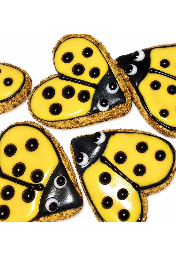 Kuchen PAKA DLA RUMAKA Biedronka Gelb