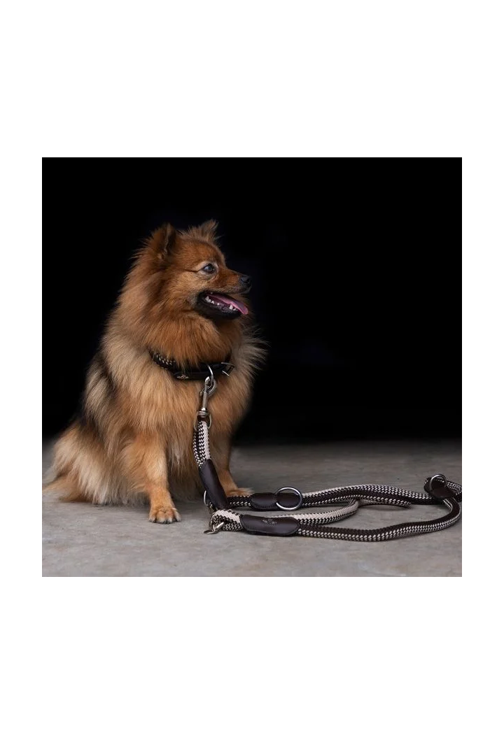 Hundehalsband HV POLO Franka
