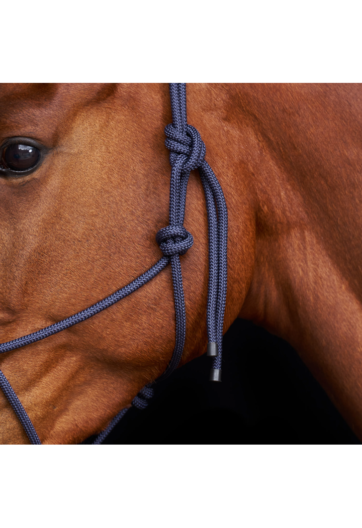 Ohlávka HV POLO HVPLAmu