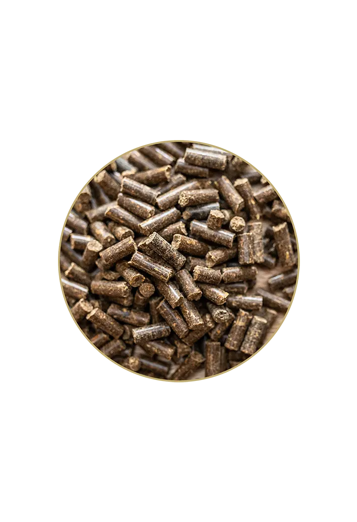 Supplement ST.HIPPOLYT Glucogard 3kg granules