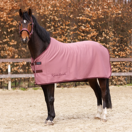 Horse rug dehumidifying KAVALKADE Graceful