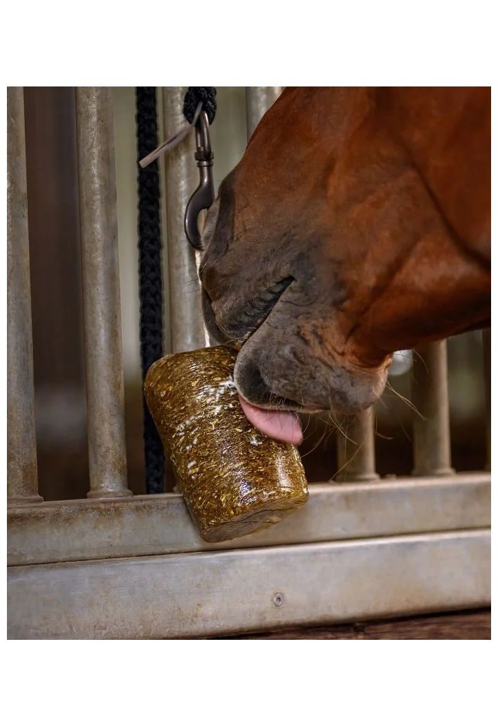 WALDHAUSEN StableSnack Herbal Lick 1kg