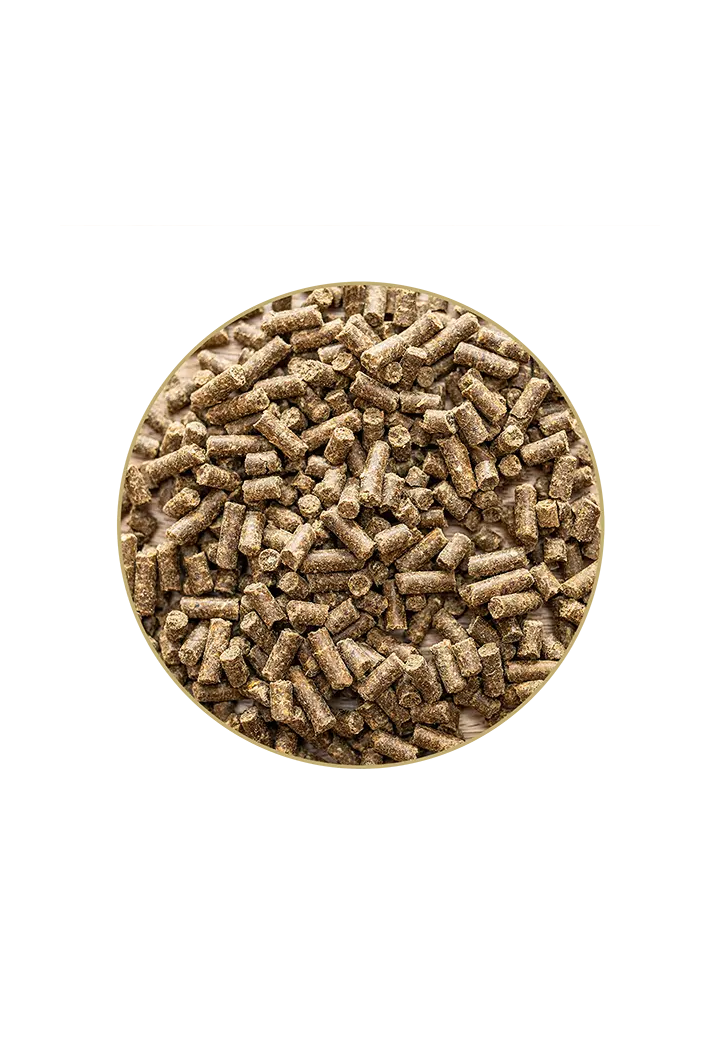 Biotin ST.HIPPOLYT Biotin granules