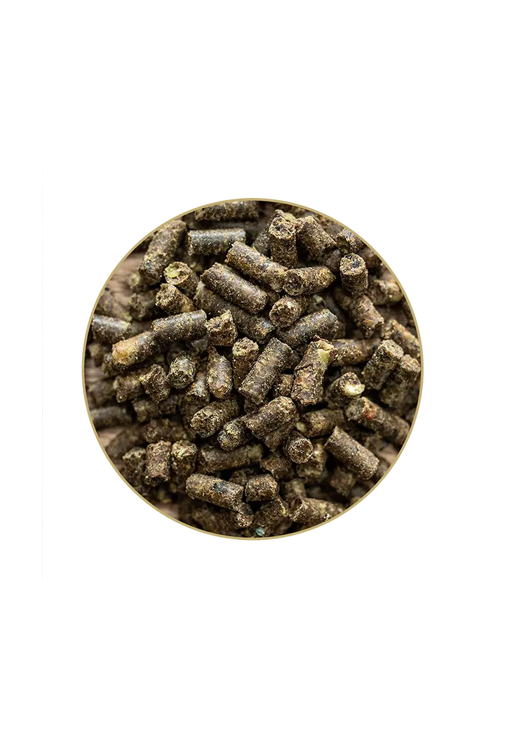 Usturoi ST.HIPPOLYT Knoblizem granule