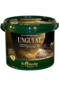 10 kg