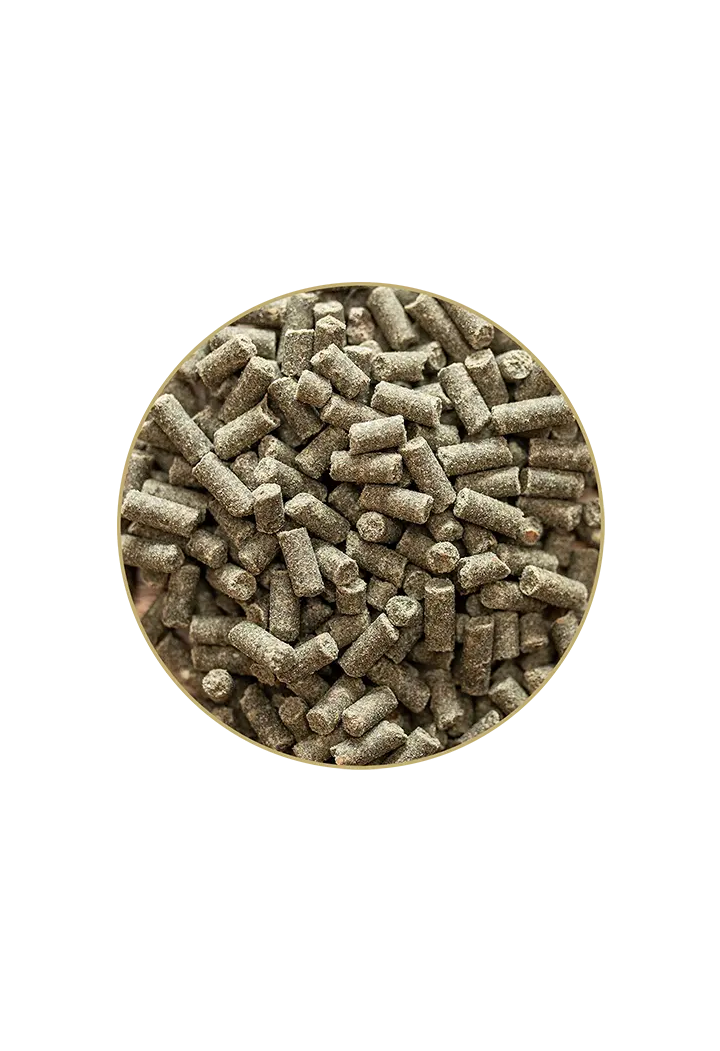Suplimentul ST.HIPPOLYT Gold Medal Granule