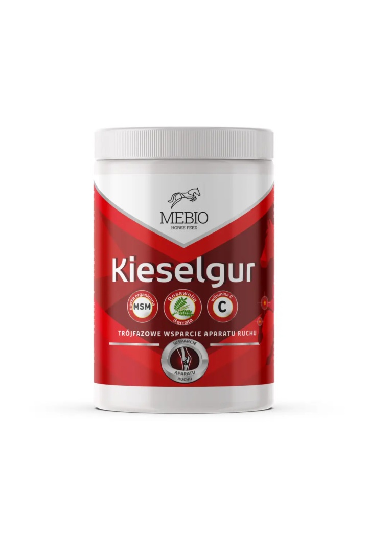 Silicon MEBIO Kieselgur MSM+Vitamina C